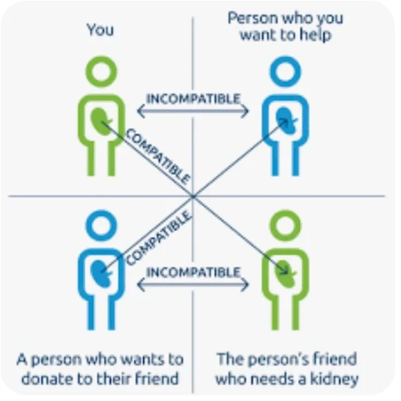 Earnings go directly to expenses for my kidney transplant & anti-rejection Rx’s - Picture 7 of 12